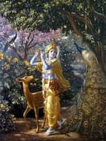 Oggi si festeggia Janmashtami, la nascita del Signore Krishna. Possa il canto di colui che era chiamato “il ladro dei cuori” incantare anche il vostro cuore e riempirlo di gioia di…