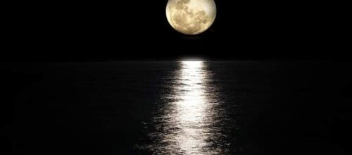 Perfezione
27 settembre
Una sola luna può dissolvere l’oscurità dei cieli. Così una sola anima che abbia imparato a conoscere Dio, un’anima colma di vera devozione e dedita alla ri…